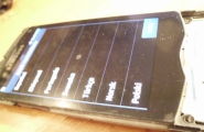 SAMSUNG GT-S8500